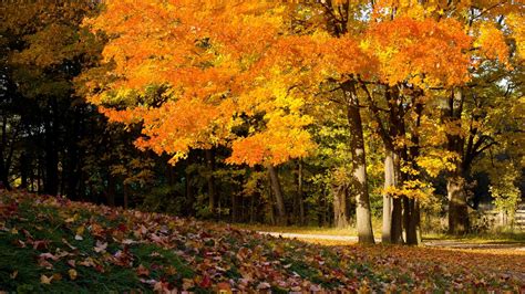Осенний сезон: время изменений и преображений