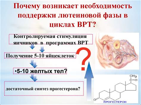 Осложнения, связанные с недостаточностью лютеиновой фазы