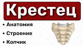 Осложнения стрельчатого крестца