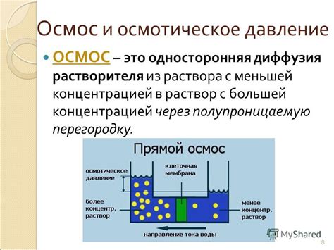 Осмотическое явление: что это такое?