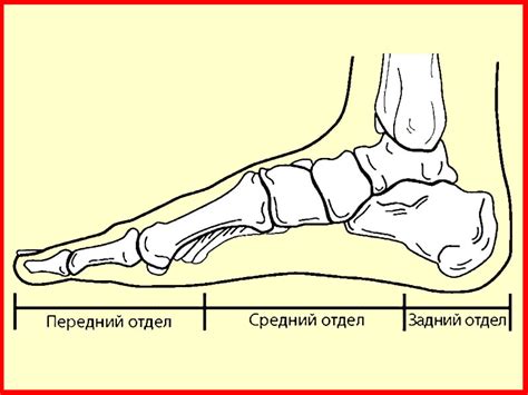 Осмотр стопы после наступления