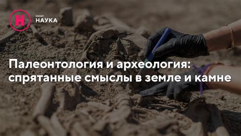 Осмысление сна о представителе мужского пола: спрятанные смыслы, метафоры и загадочности