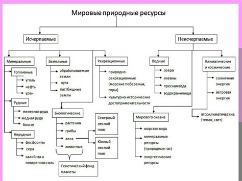 Основные виды жизненных ресурсов