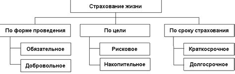 Основные виды общей страховки