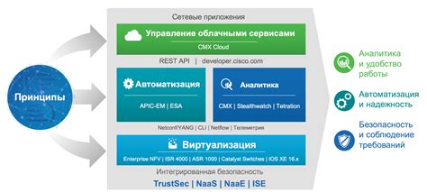 Основные задачи, которые решает провокатор