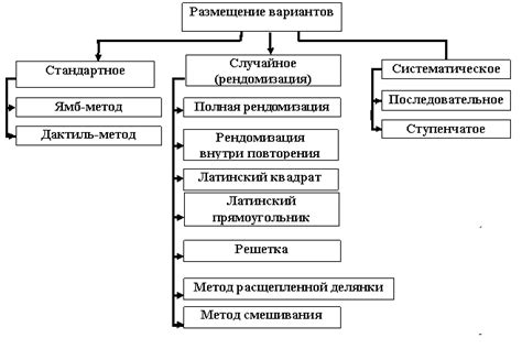 Основные задачи полевого командира