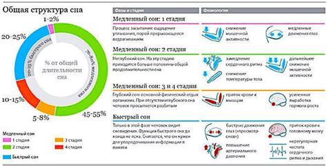 Основные значения сна и их символика