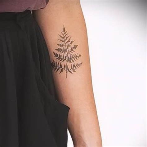 Основные значения татуировки с папоротником
