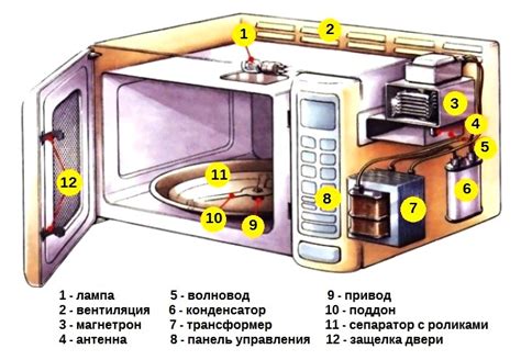 Основные компоненты свч печи