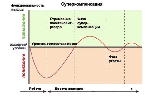 Основные методы восстановления равновесия