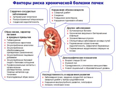 Основные методы лечения почечных заболеваний