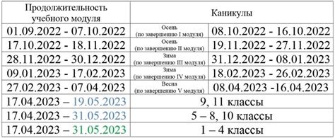 Основные моменты организации каникул включительно