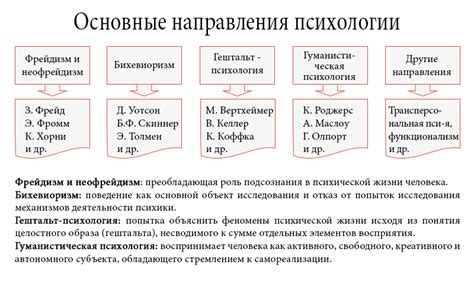 Основные направления и течения в психологии