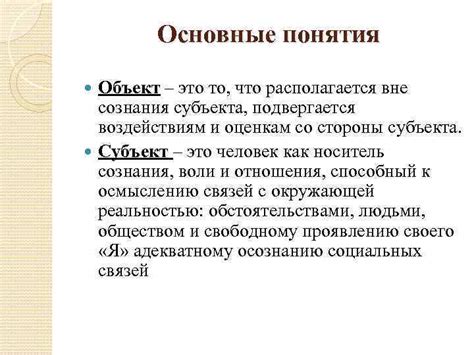 Основные понятия объектного субъекта