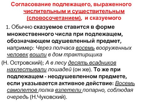 Основные понятия при использовании сказуемого выраженного именем существительным