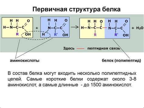 Основные понятия реформ: что это такое?