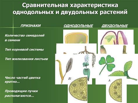 Основные признаки "жены бревна":