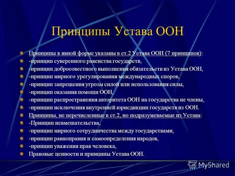 Основные принципы ООН