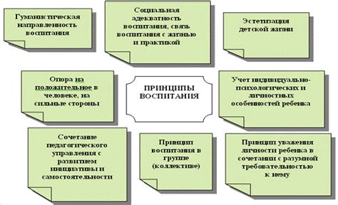 Основные принципы воспитания в 5 классе