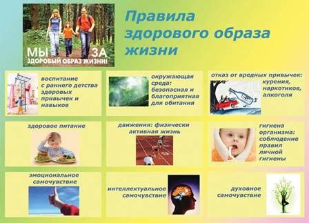 Основные принципы информативного человека