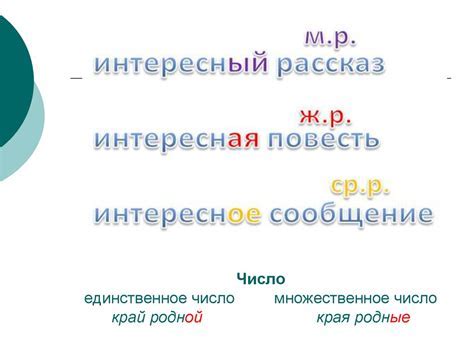 Основные принципы каллиграфической правильности