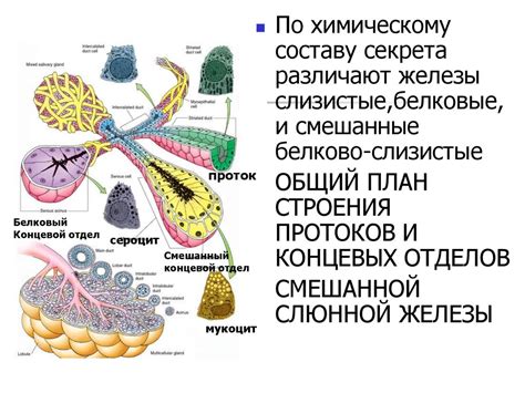 Основные принципы набивной ткани