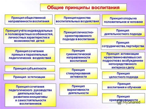 Основные принципы общественной направленности воспитания