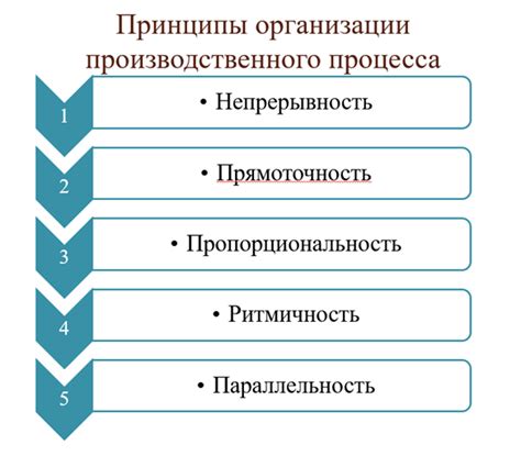 Основные принципы объективного процесса