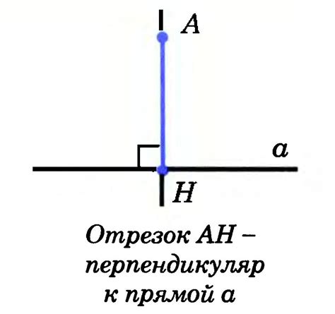 Основные принципы опускания перпендикуляра в геометрии