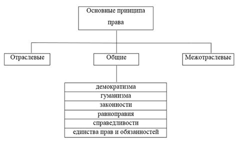 Основные принципы относительного права