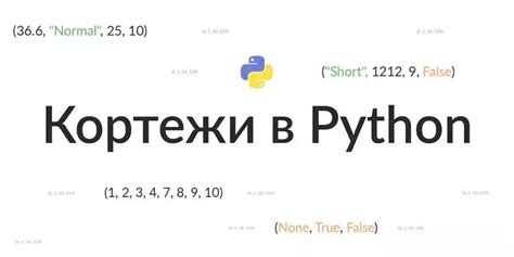 Основные принципы работы elif в Python