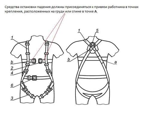 Основные принципы трехточечной страховочной привязи