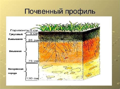 Основные причины образования прокаленной почвы