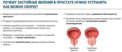 Основные причины патологического состояния