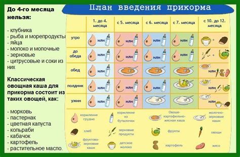 Основные продукты для прикорма