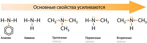 Основные свойства азуленового тоника