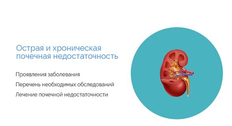 Основные симптомы почечной недостаточности