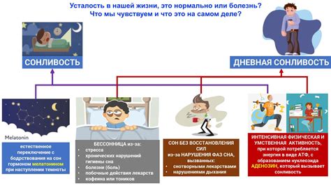 Основные симптомы сонливости и их проявление