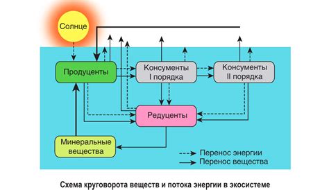 Основные составляющие сети питания