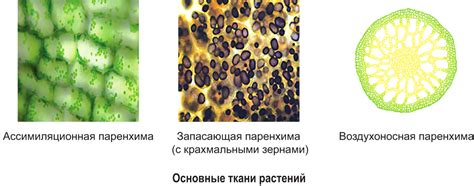 Основные составляющие текстильной ткани