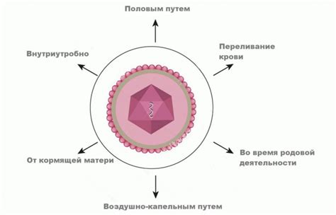 Основные способы передачи герпеса