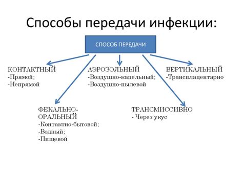 Основные способы передачи инфекции