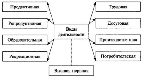 Основные сферы деятельности собственника по ДКП