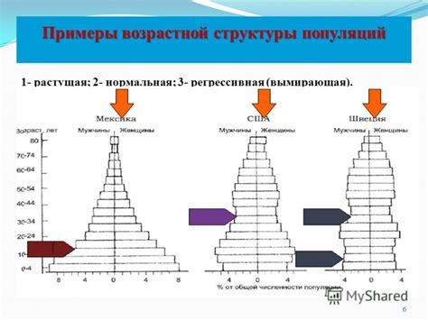 Основные типы возрастной структуры