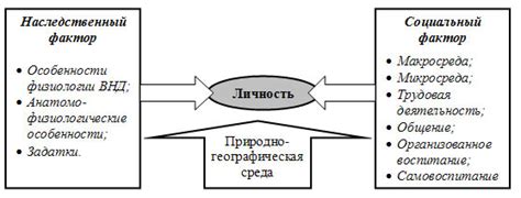 Основные факторы формирования индифферентности у человека