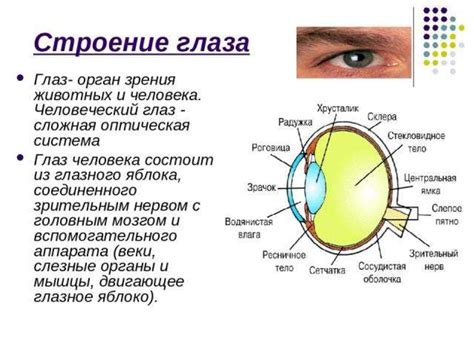 Основные функции Глаза бога