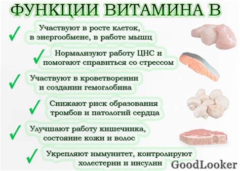 Основные функции витаминов группы Б