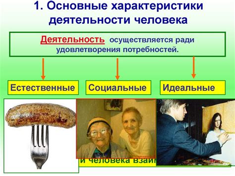 Основные характеристики бесхребетного человека