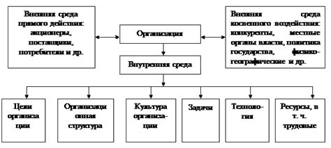 Основные характеристики карточки организации: примеры и подробности