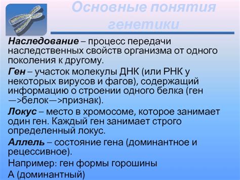 Основные характеристики одного поколения